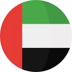 uae flag